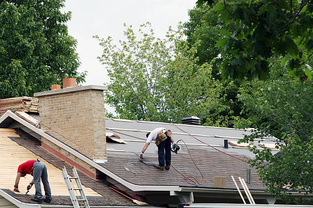 Best Cold Roofs  in Orion, IL
