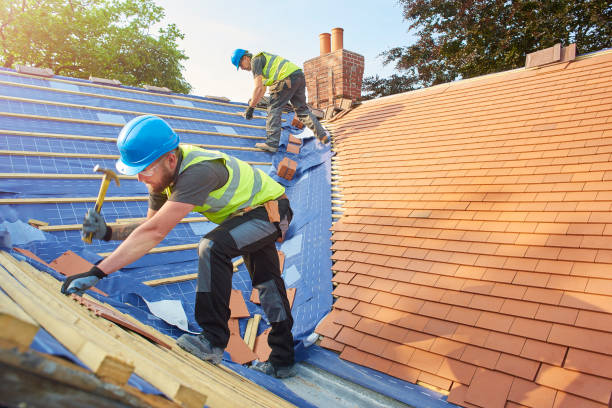 Best Roof Leak Repair  in Orion, IL
